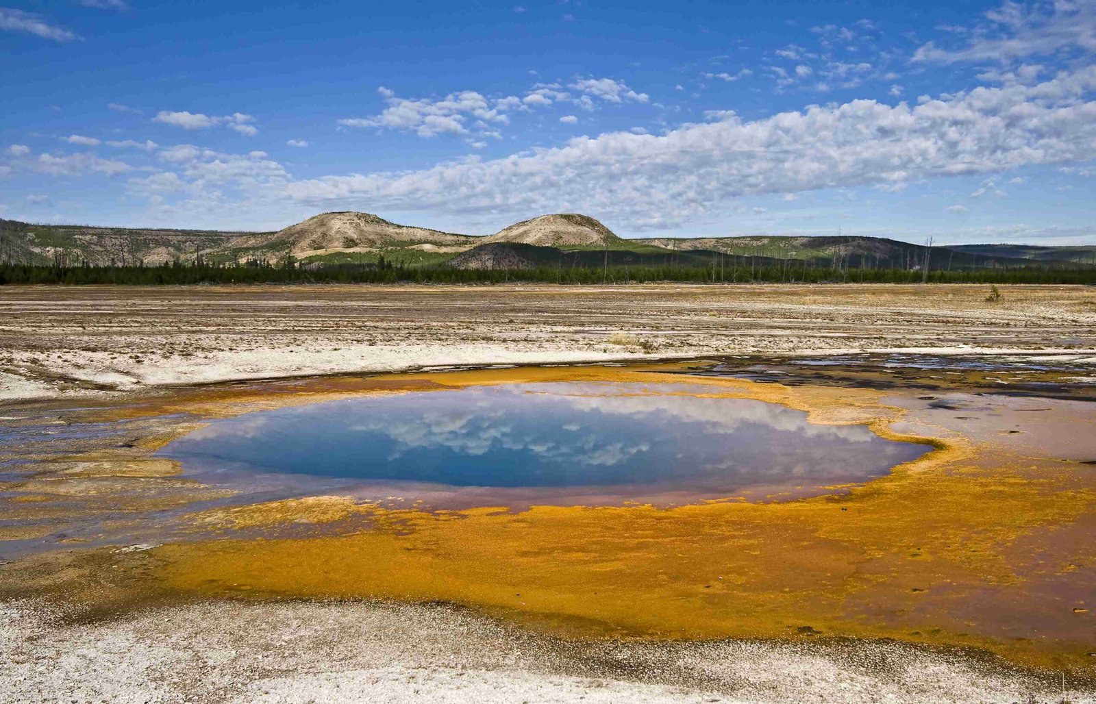 yellowstone national park grand canyon artist point