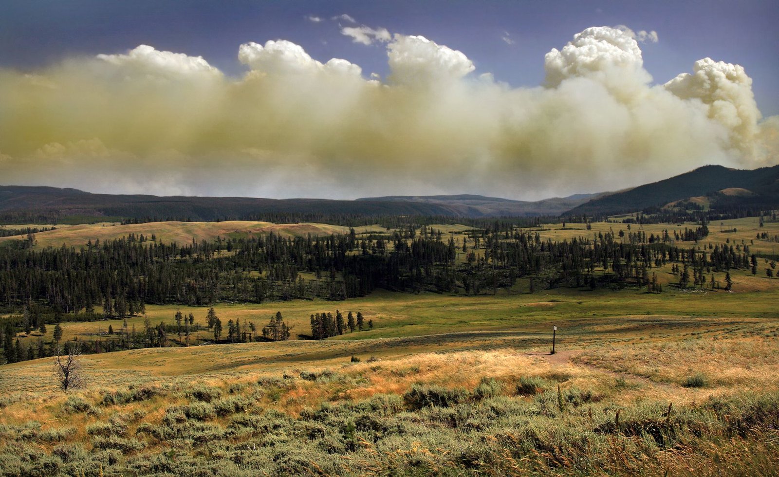 bike paths yellowstone national park