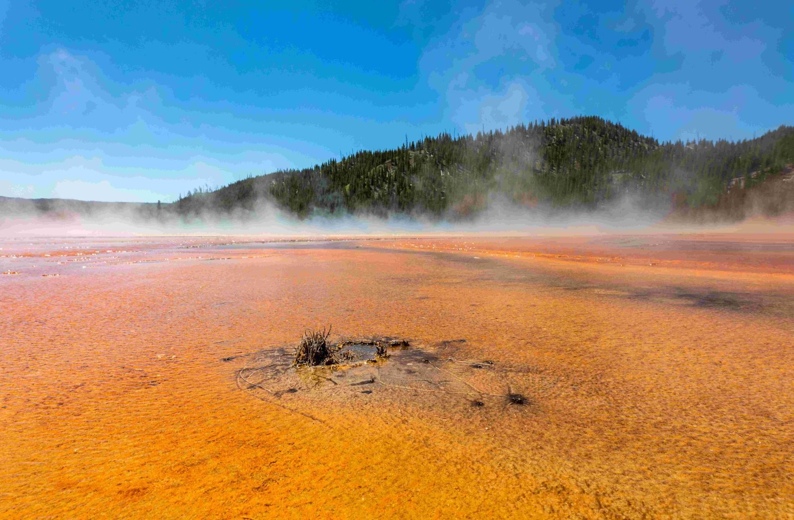 giant prismatic spring yellowstone national park wyoming