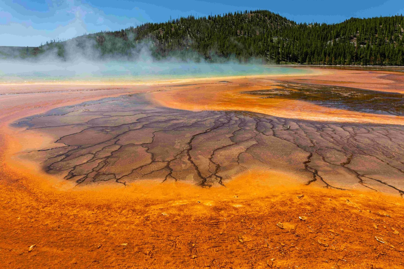 grand prismatic spring in yellowstone national park bright colors