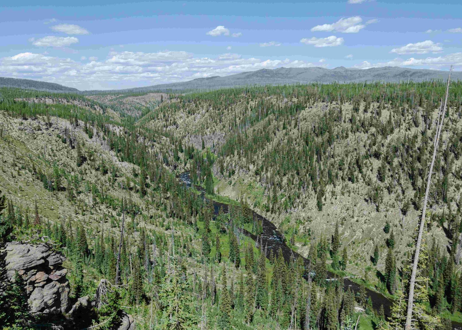 the governor visit yellowstone national park